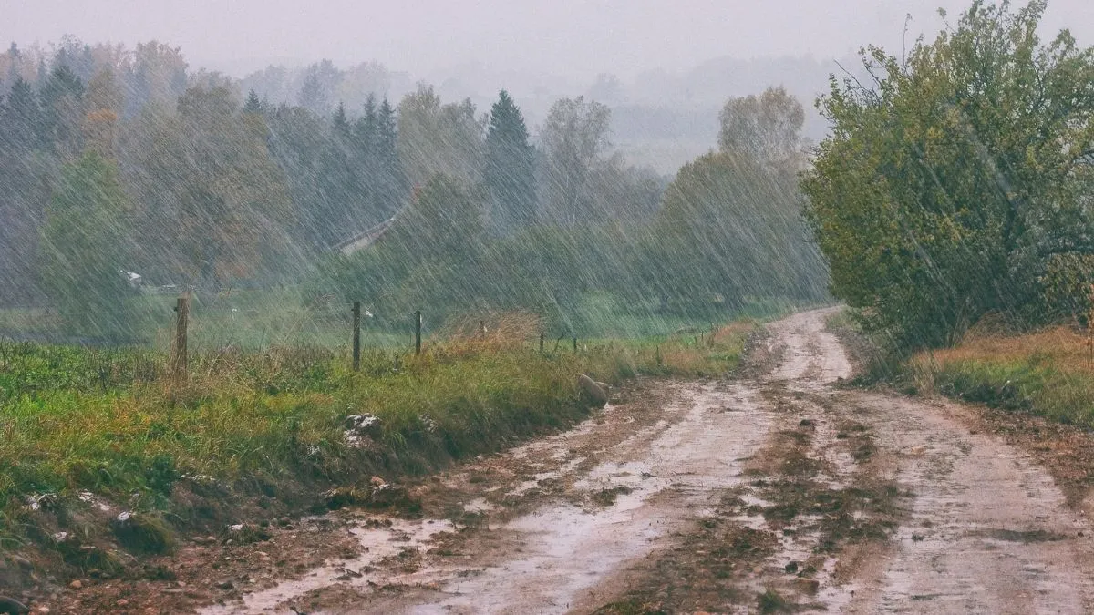imd-forecasts-above-normal-rainfall-for-september-heavy-downpours-expected-in-northwest-india